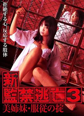 高贵艳妇屈服的沦陷