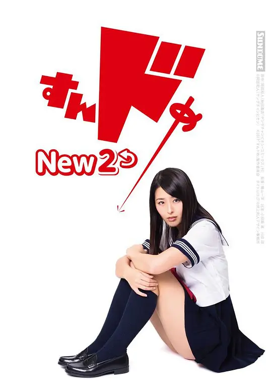 《女律师替丈夫还债》电视剧全集