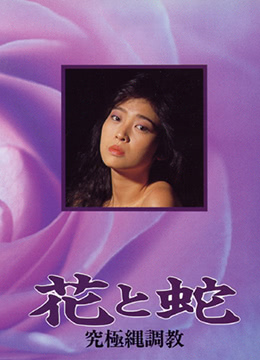 欢欢成人