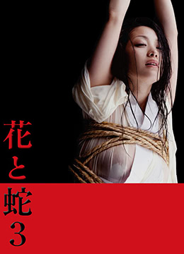 爱情限量版