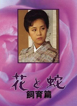 杏树纱奈全集
