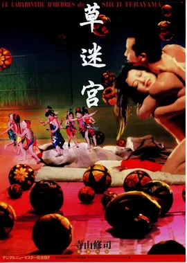 泽井芽衣电影