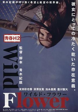 japonensisjava二级在线