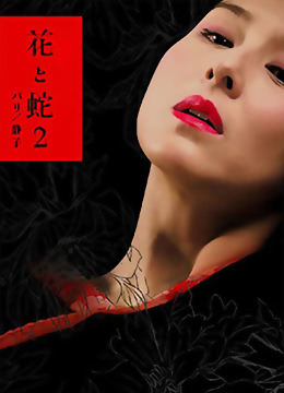 风水世家324
